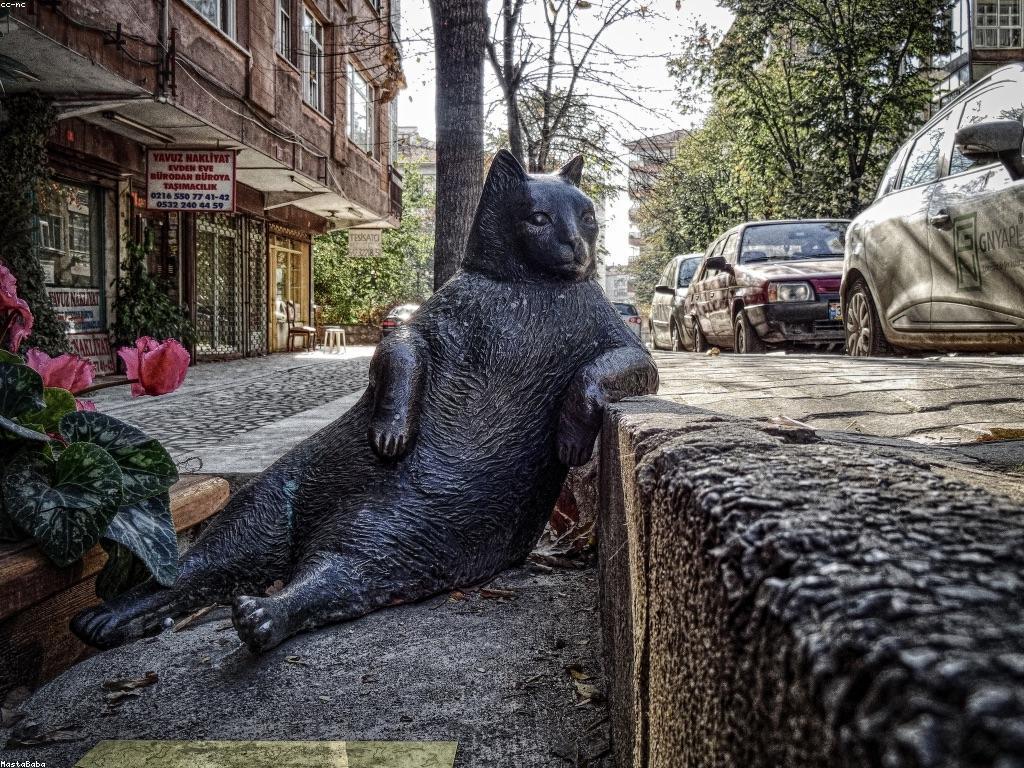 វិធានការបង្កើនភាពច្បាស់លាស់នៃព័ត៌មាន